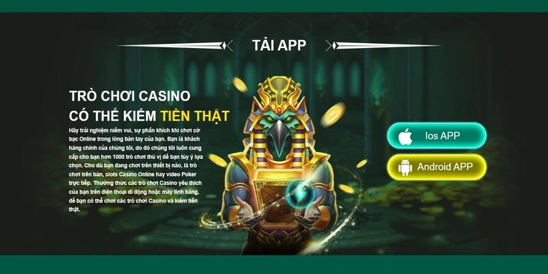 Các lưu ý quan trọng khi tải app OK365