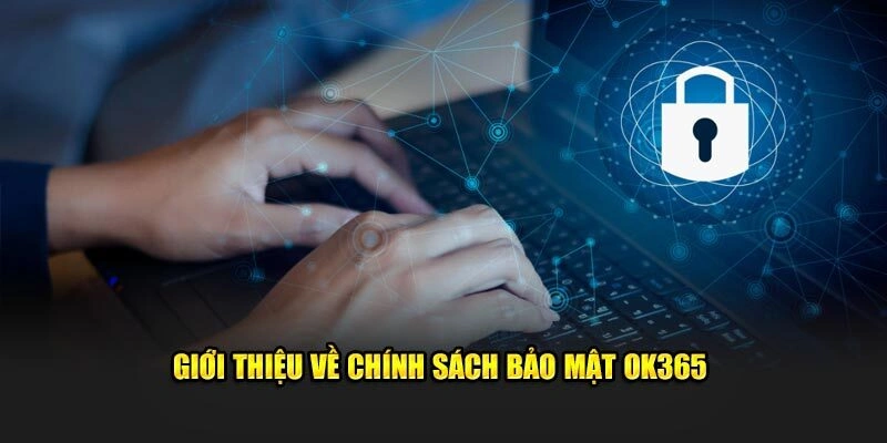 Tổng quan về chính sách bảo mật mới nhất của OK365