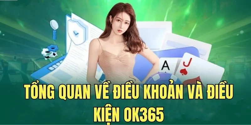 Chính sách cho hội viên nhà cái OK365 được cải thiện tốt nhất cho hội viên